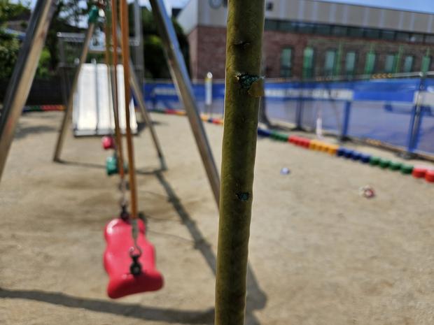 계룡어린이집 놀이 시설 교체: 안전과 장점, 케이스터디움으로 믿을 수 있는 선택 관련 이미지