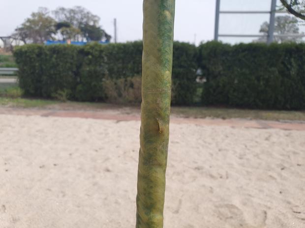 군산 어린이집 운동장, 그네 교체? ?  전문 시공으로 건강한 놀이터 만들어보세요! 관련 이미지