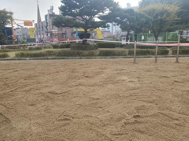 부여초등학교 놀이터 마사토 충진 | 학교 운동장 안전 & 수명 연장 전문 케이스터디움