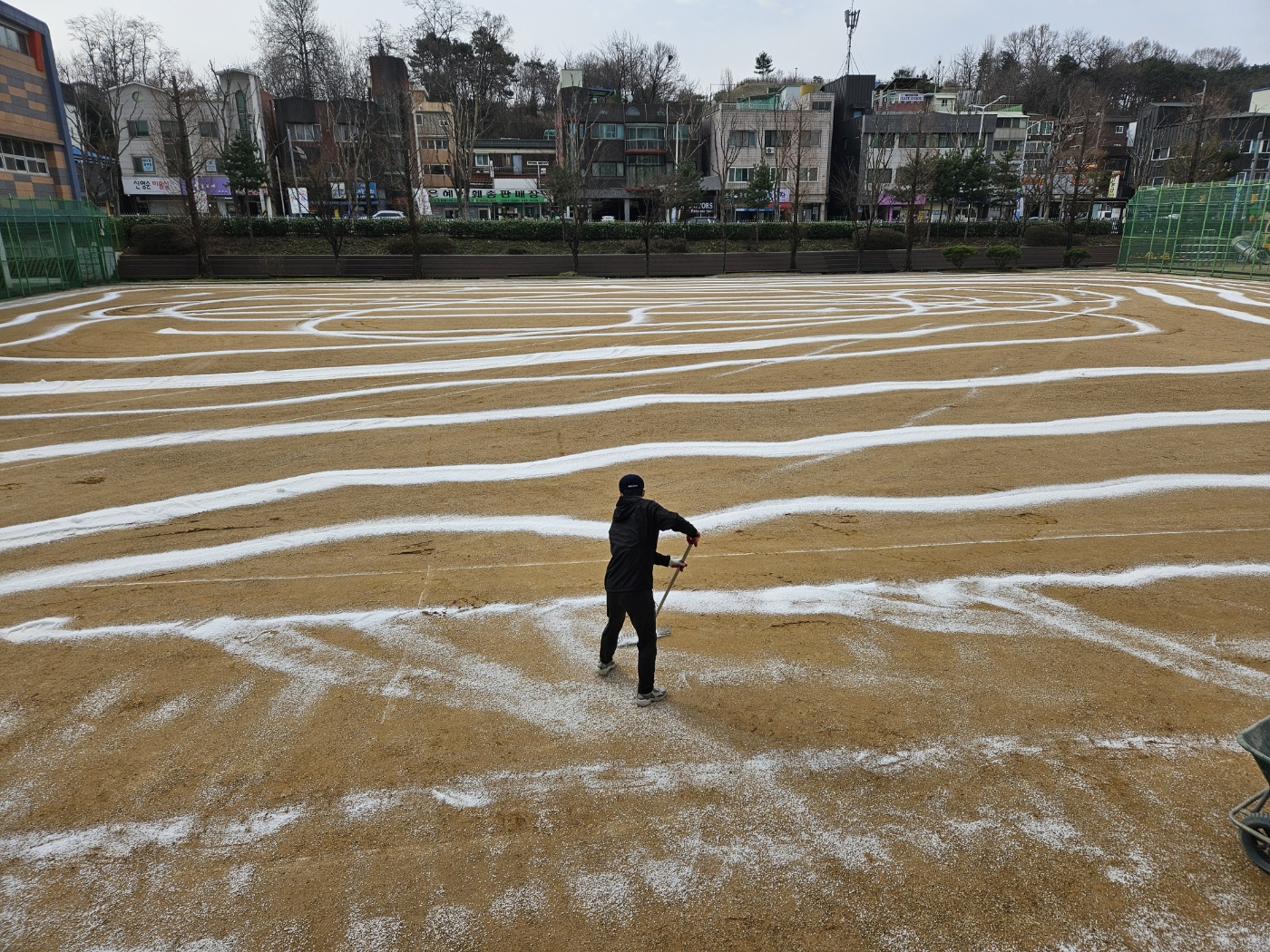 소금 살포 서비스